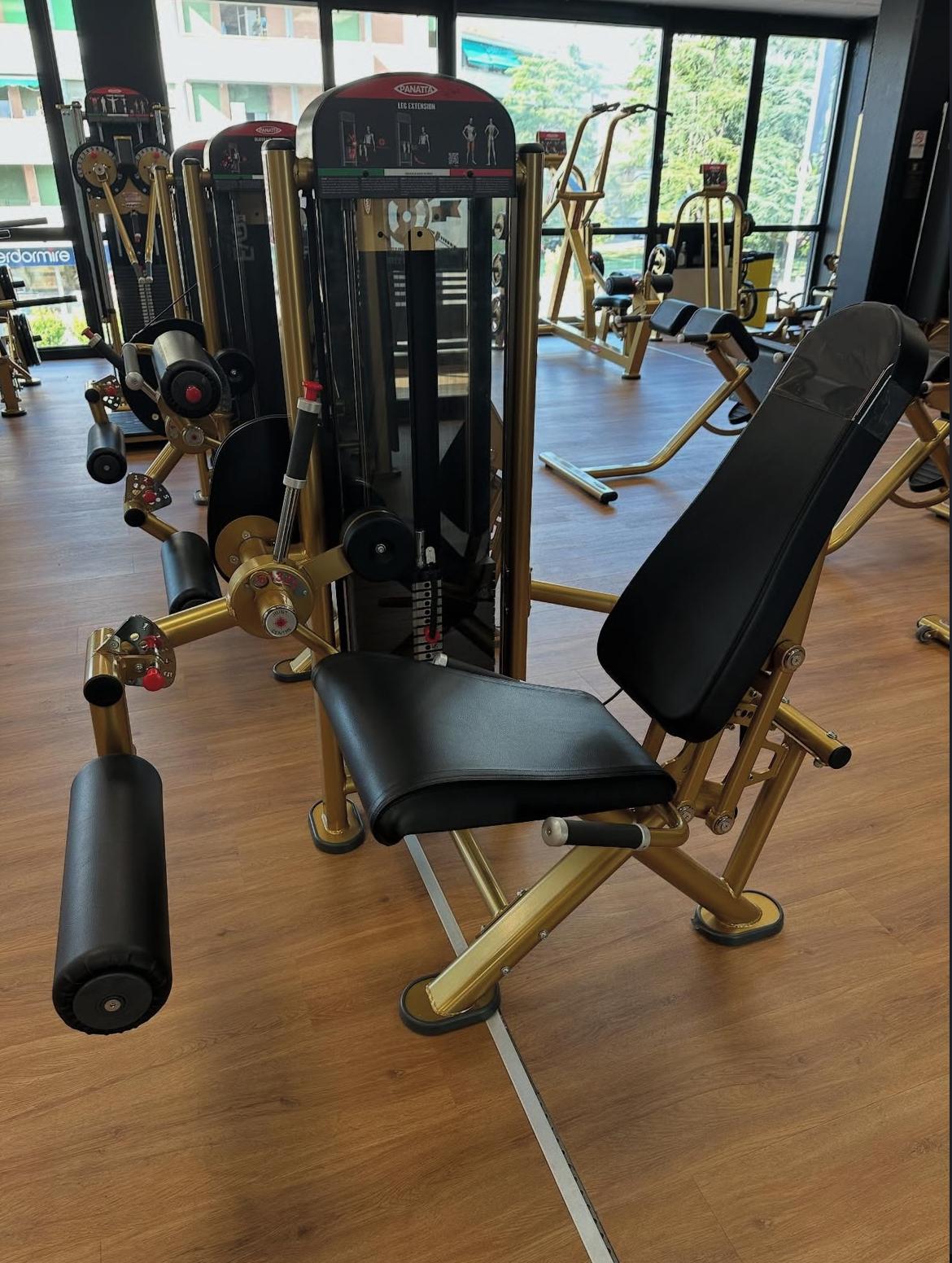 Leg extension Panatta
